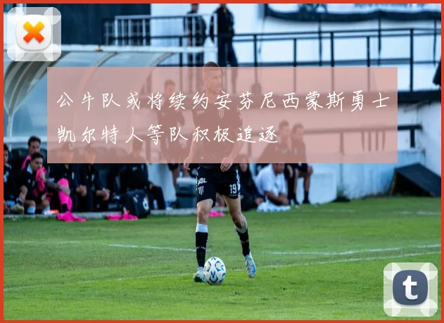 公牛队或将续约安芬尼西蒙斯勇士凯尔特人等队积极追逐